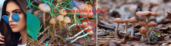 COCAINE Козельск