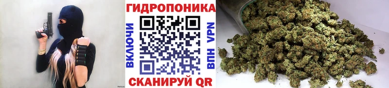 Купить  Балахна  Каннабис сатива 